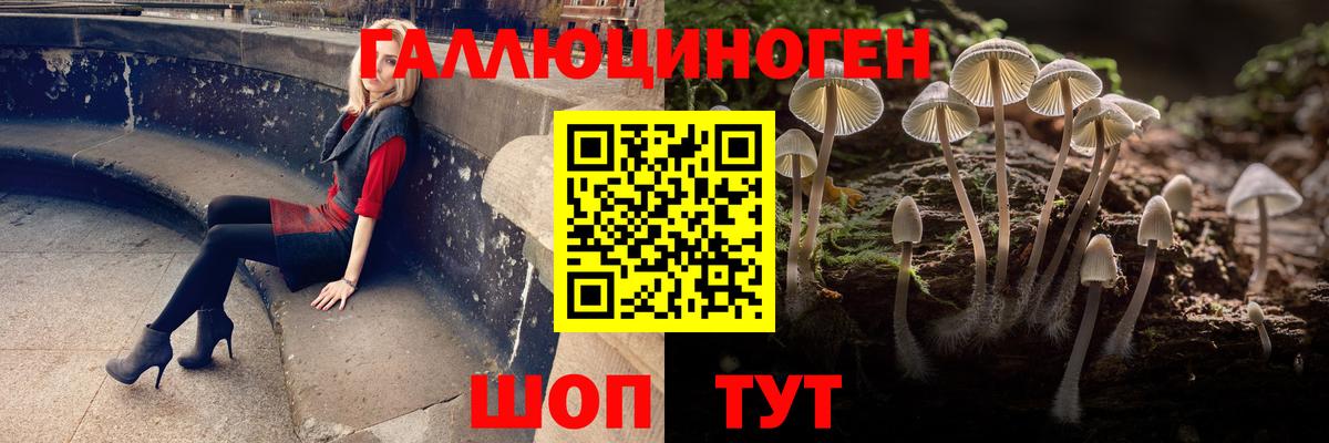 купить  цена  Вход с VPN  Прокопьевск  Галлюциногенные грибы ЛСД 