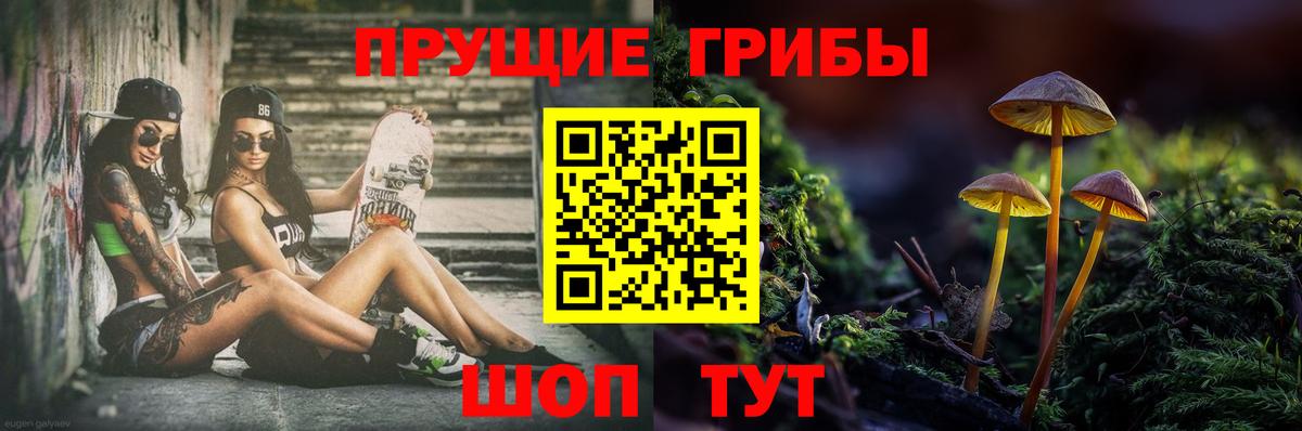 Галлюциногенные грибы Psilocybine cubensis Прокопьевск